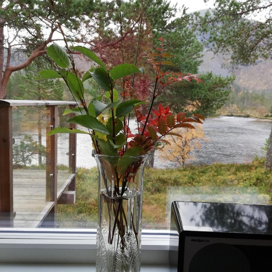 Hytte Ved Gaularfjellet Viksdalen 외부 사진